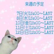 ヒメ日記 2023/11/05 23:45 投稿 るる Fの法則