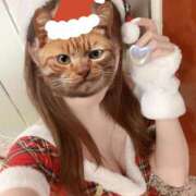 ヒメ日記 2024/12/22 03:55 投稿 天使　こゆき 白衣の天使(守山)