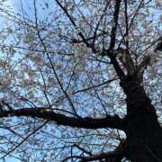 ヒメ日記 2026/03/25 22:05 投稿 ゆゆ デザインプリズム新宿