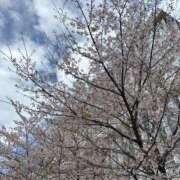 ゆゆ 退勤しました♡ デザインプリズム新宿