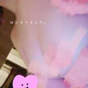 ヒメ日記 2025/10/07 17:12 投稿 内海 凪 プルプルハウス