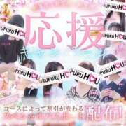 内海 凪 散る前に！ プルプルハウス