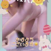 ヒメ日記 2025/04/19 08:10 投稿 きら モアグループ川越人妻花壇