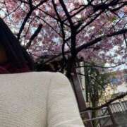 ヒメ日記 2025/03/14 11:25 投稿 疼（うずき） 熟女の風俗最終章　鶯谷店