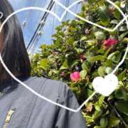 ヒメ日記 2025/03/18 12:50 投稿 疼（うずき） 熟女の風俗最終章　鶯谷店