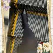 ヒメ日記 2025/03/31 10:00 投稿 疼（うずき） 熟女の風俗最終章　鶯谷店