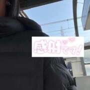 ヒメ日記 2025/11/27 11:07 投稿 疼（うずき） 熟女の風俗最終章　鶯谷店