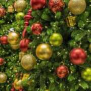 ヒメ日記 2024/12/24 23:57 投稿 らら 逢って30秒で即尺