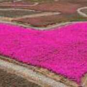 ヒメ日記 2025/04/29 19:48 投稿 らら 逢って30秒で即尺