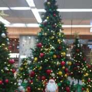 ヒメ日記 2025/12/26 00:23 投稿 らら 逢って30秒で即尺