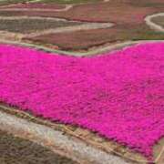 ヒメ日記 2026/02/27 23:12 投稿 らら 逢って30秒で即尺