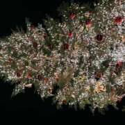 ヒメ日記 2024/12/09 09:28 投稿 なつみ 横浜熟女MAX