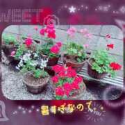 ヒメ日記 2025/06/20 15:02 投稿 りん 出会い系人妻ネットワーク 上野〜大塚編