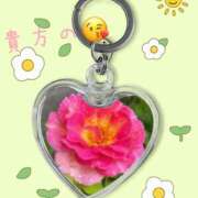 ヒメ日記 2025/06/23 19:30 投稿 りん 出会い系人妻ネットワーク 上野〜大塚編