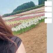 ヒメ日記 2025/07/11 18:45 投稿 りん 出会い系人妻ネットワーク 上野〜大塚編