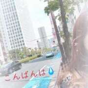 ヒメ日記 2025/07/14 20:07 投稿 りん 出会い系人妻ネットワーク 上野〜大塚編