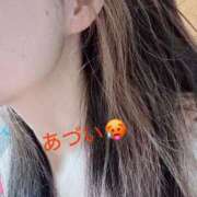 ヒメ日記 2025/07/15 10:30 投稿 りん 出会い系人妻ネットワーク 上野〜大塚編