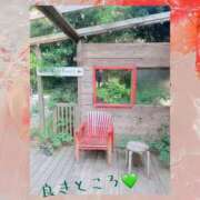 ヒメ日記 2025/08/09 13:08 投稿 りん 出会い系人妻ネットワーク 上野〜大塚編