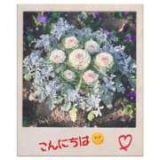 ヒメ日記 2026/01/08 11:21 投稿 りん 出会い系人妻ネットワーク 上野〜大塚編