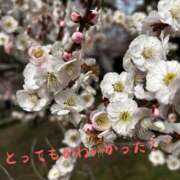 ヒメ日記 2026/03/01 17:56 投稿 りん 出会い系人妻ネットワーク 上野〜大塚編