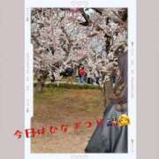 りん あぁーー 出会い系人妻ネットワーク 上野〜大塚編