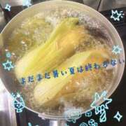ヒメ日記 2026/08/26 19:03 投稿 りん 出会い系人妻ネットワーク 上野〜大塚編