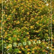 ヒメ日記 2026/09/03 22:04 投稿 りん 出会い系人妻ネットワーク 上野〜大塚編