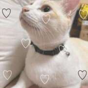 青葉りんこ 今日は世界猫の日🐈‍⬛ 千葉快楽Ｍ性感倶楽部～前立腺マッサージ専門～