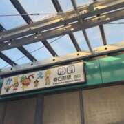 ヒメ日記 2025/04/08 09:45 投稿 あい 美熟女倶楽部Hip's 春日部店