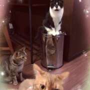 ヒメ日記 2025/04/11 16:34 投稿 あい 美熟女倶楽部Hip's 春日部店