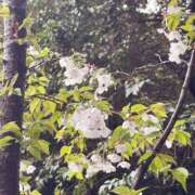 ヒメ日記 2025/04/21 16:24 投稿 あい 美熟女倶楽部Hip's 春日部店