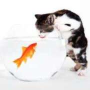 ヒメ日記 2025/04/22 08:14 投稿 あい 美熟女倶楽部Hip's 春日部店