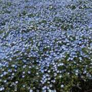 ヒメ日記 2025/04/28 08:44 投稿 あい 美熟女倶楽部Hip's 春日部店