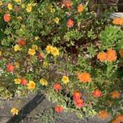 ヒメ日記 2025/04/29 08:35 投稿 あい 美熟女倶楽部Hip's 春日部店