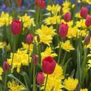 ヒメ日記 2025/05/01 07:04 投稿 あい 美熟女倶楽部Hip's 春日部店