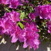 ヒメ日記 2025/05/02 09:05 投稿 あい 美熟女倶楽部Hip's 春日部店