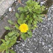 ヒメ日記 2025/05/04 09:19 投稿 あい 美熟女倶楽部Hip's 春日部店