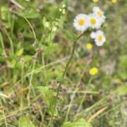 ヒメ日記 2025/05/05 08:34 投稿 あい 美熟女倶楽部Hip's 春日部店