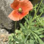 ヒメ日記 2025/05/06 08:04 投稿 あい 美熟女倶楽部Hip's 春日部店