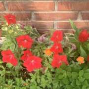 ヒメ日記 2025/05/12 08:08 投稿 あい 美熟女倶楽部Hip's 春日部店