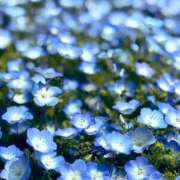 ヒメ日記 2025/05/15 09:04 投稿 あい 美熟女倶楽部Hip's 春日部店