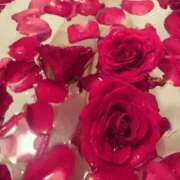 ヒメ日記 2025/05/18 08:04 投稿 あい 美熟女倶楽部Hip's 春日部店