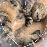 ヒメ日記 2025/05/20 22:54 投稿 あい 美熟女倶楽部Hip's 春日部店