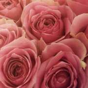 ヒメ日記 2025/05/24 08:10 投稿 あい 美熟女倶楽部Hip's 春日部店