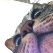 ヒメ日記 2025/05/27 06:04 投稿 あい 美熟女倶楽部Hip's 春日部店