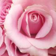 ヒメ日記 2025/05/28 06:07 投稿 あい 美熟女倶楽部Hip's 春日部店