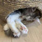 ヒメ日記 2025/05/30 07:08 投稿 あい 美熟女倶楽部Hip's 春日部店