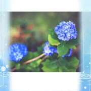 ヒメ日記 2025/06/07 09:16 投稿 あい 美熟女倶楽部Hip's 春日部店