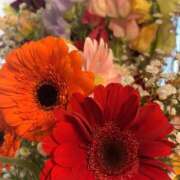 ヒメ日記 2025/06/16 07:04 投稿 あい 美熟女倶楽部Hip's 春日部店