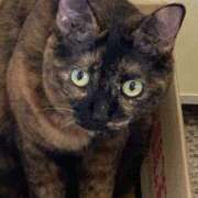 ヒメ日記 2025/06/17 08:04 投稿 あい 美熟女倶楽部Hip's 春日部店